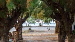A dirt path flanked by large trees, leading towards a body of water. - Aadonis Villa (Platanias)
