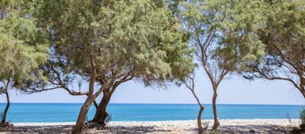 Aadonis Villa