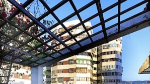 An outdoor patio area with wooden flooring, metal-framed tables and chairs, potted plants, and a view of a multi-story building in the background. - Reedon Boutique Hotel (Taipei)