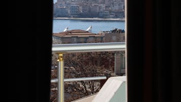 Vue depuis le balcon