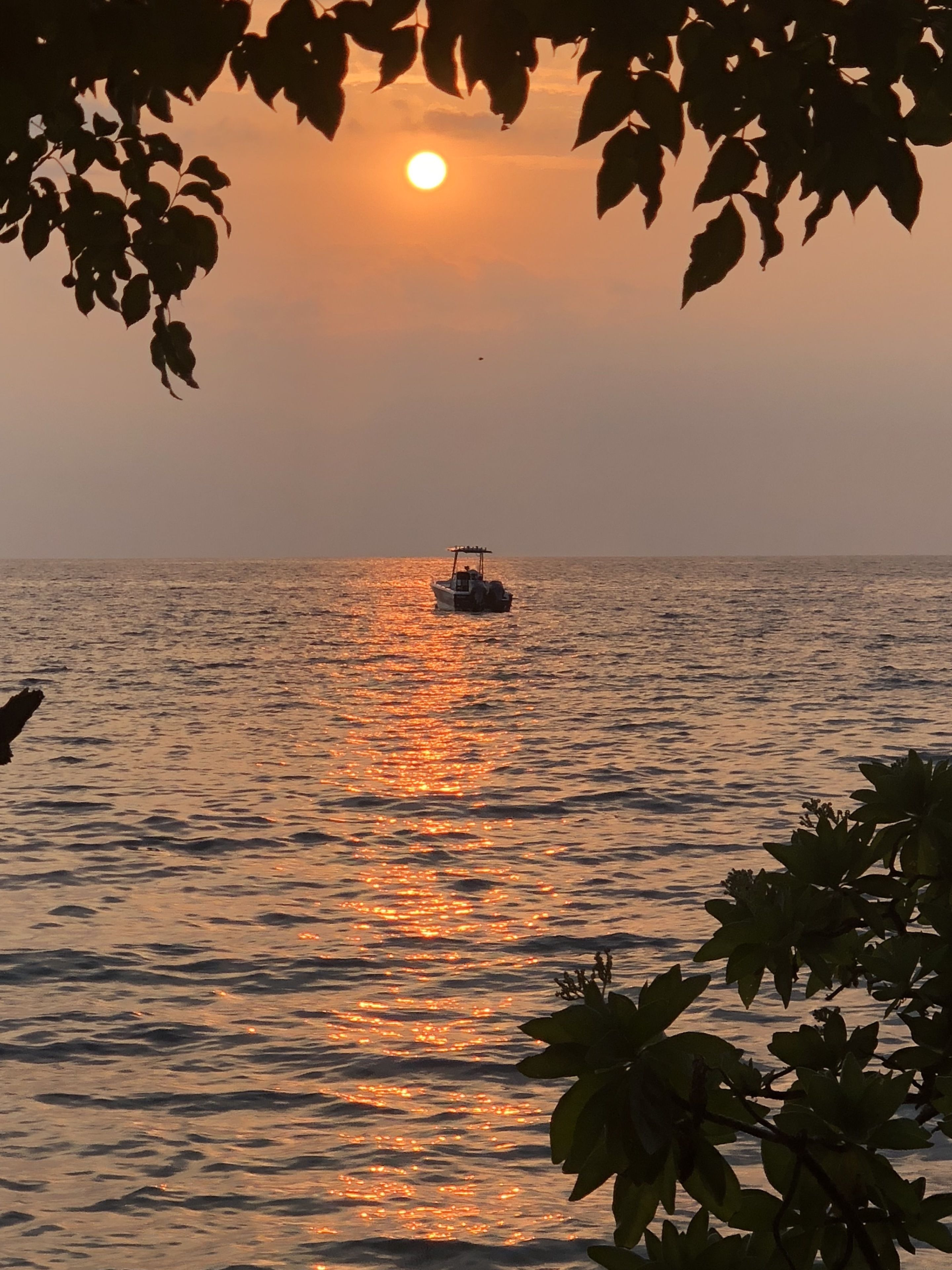 海灘