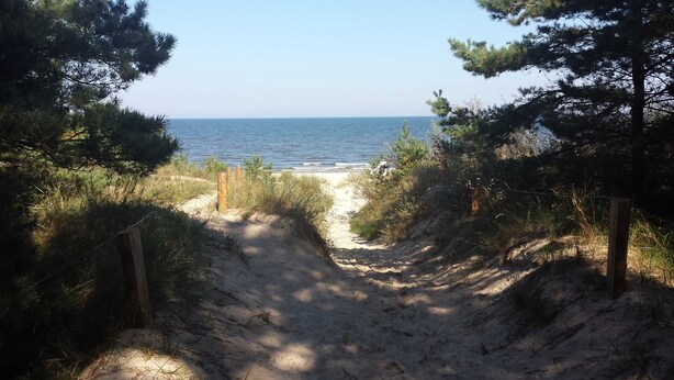 Un sendero arenoso que conduce a una playa, con vista despejada al océano.