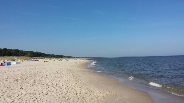 Nära stranden