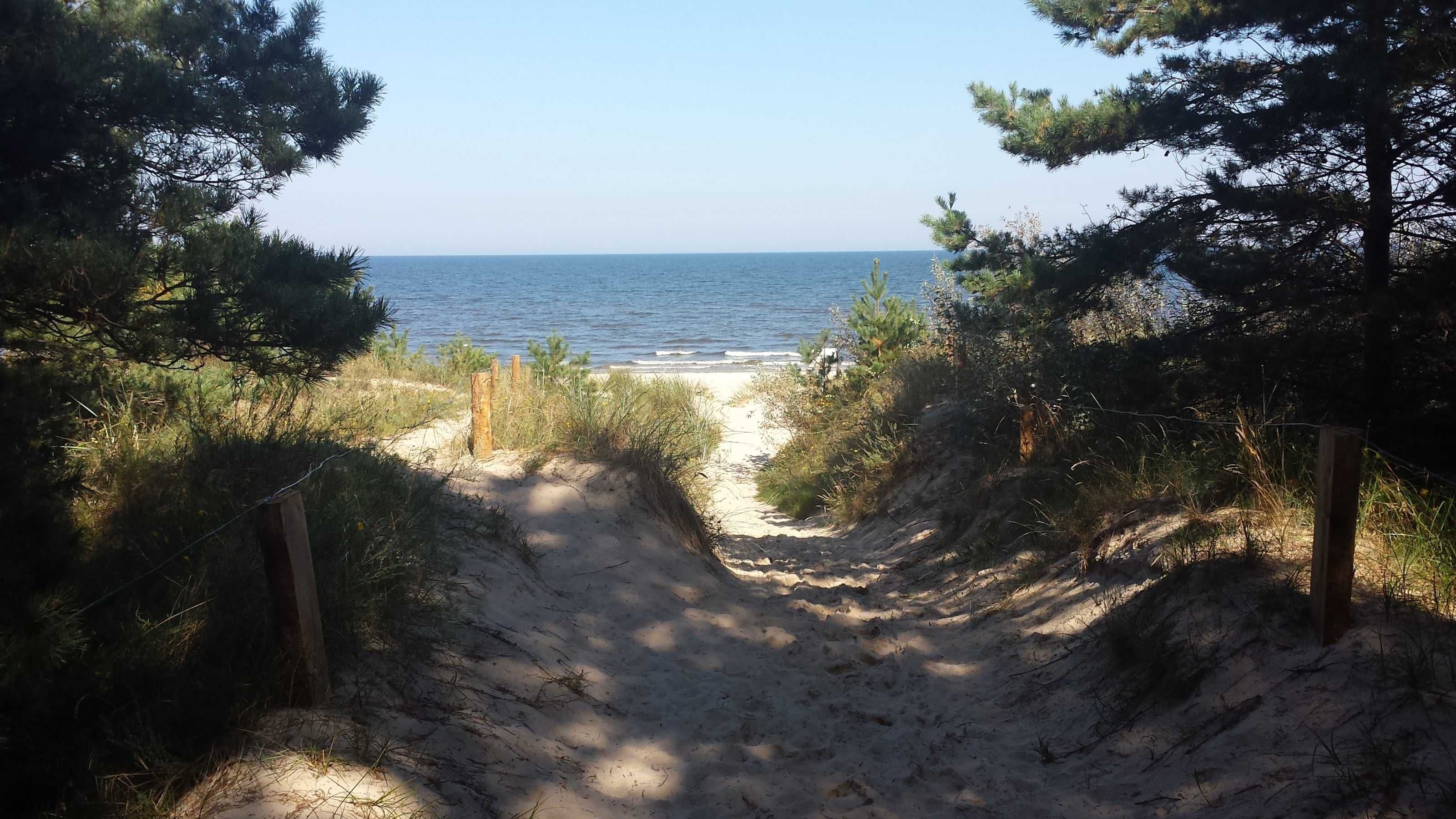 Un sentier sablonneux qui mène à une plage d’où l’on a une vue dégagée sur l’océan.