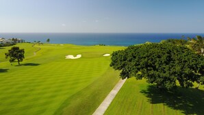 Un parcours de golf offrant une vue dégagée sur l’océan, avec un grand arbre au premier plan.