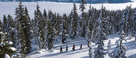 A snowy forest with a group of people walking.