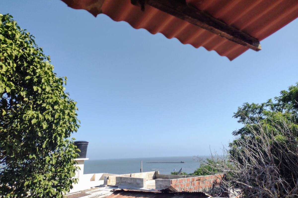 Une vue sur la côte, avec un ciel dégagé, un bâtiment doté d’un toit rouge et un arbre au premier plan.