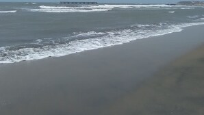 未分類圖片，第 2 張 (共 46 張)，按鈕