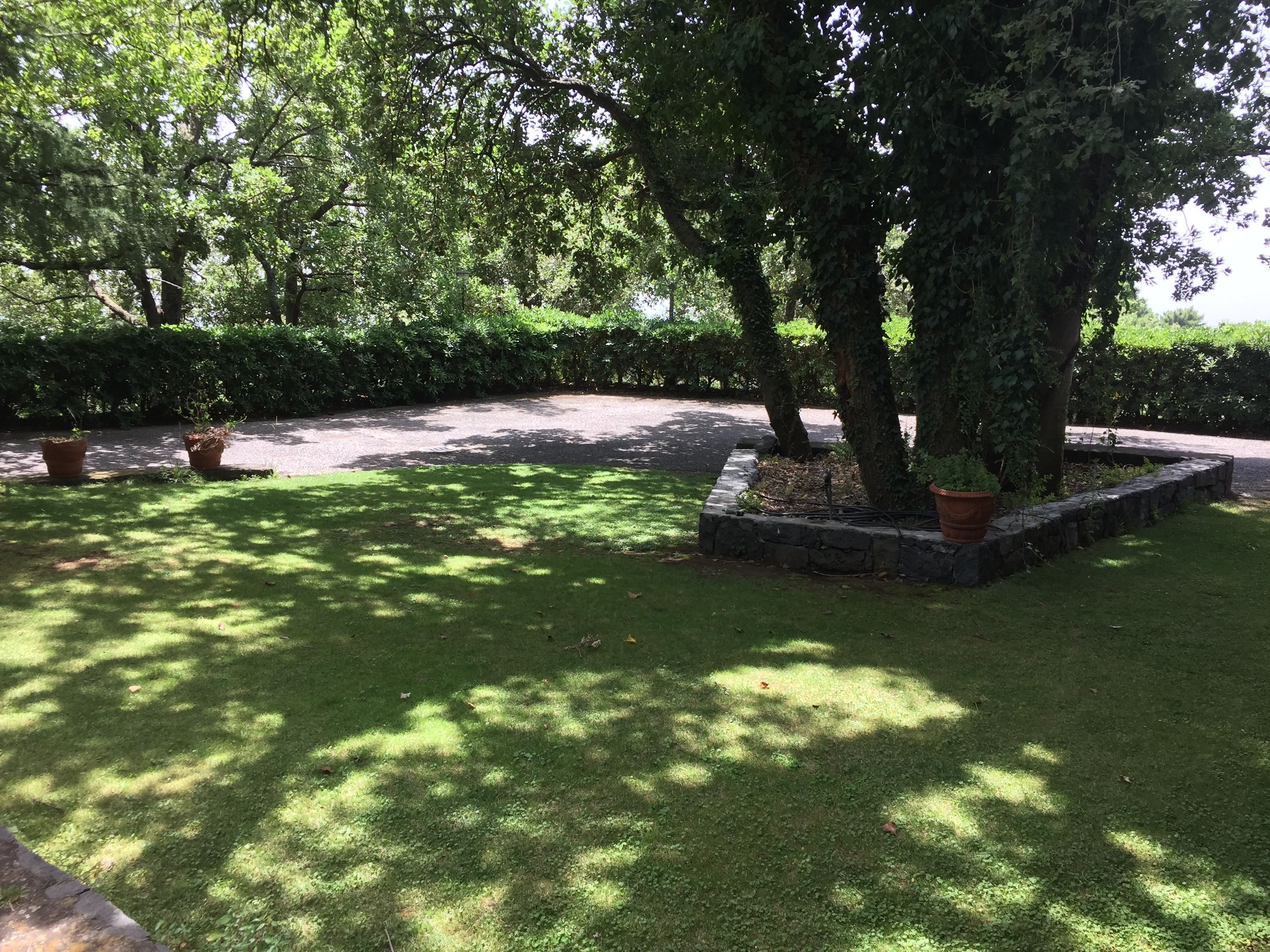 Un jardín bien cuidado con un sendero pavimentado, césped impecable y varias plantas en macetas.