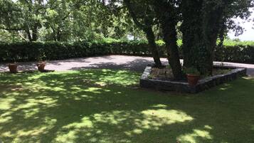 Un jardín bien cuidado con un sendero pavimentado, césped impecable y varias plantas en macetas.