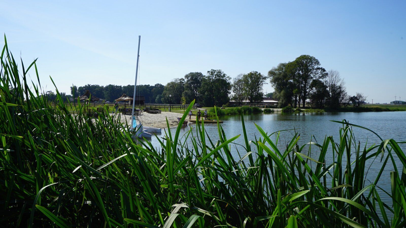 A lakeside view with a boat dock, grassy banks, and trees in the background.