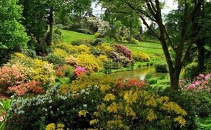 Garden - Headquarter International Hotel (Guangzhou)
