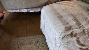 A room with two beds, a nightstand with a lamp and tissues, and a window with curtains. - Chalk And Cheese (King's Lynn)
