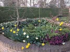 Konaklama yeri alanı