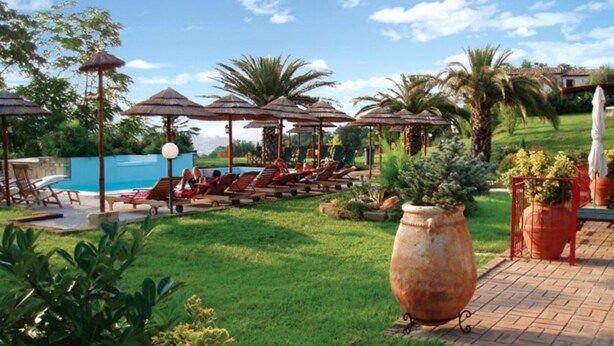 Ein Poolbereich mit Liegestühlen, Sonnenschirmen und einem großen Blumentopf.