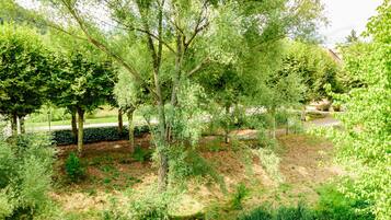 Un parque exuberante con diversas especies de árboles y un pequeño arroyo.