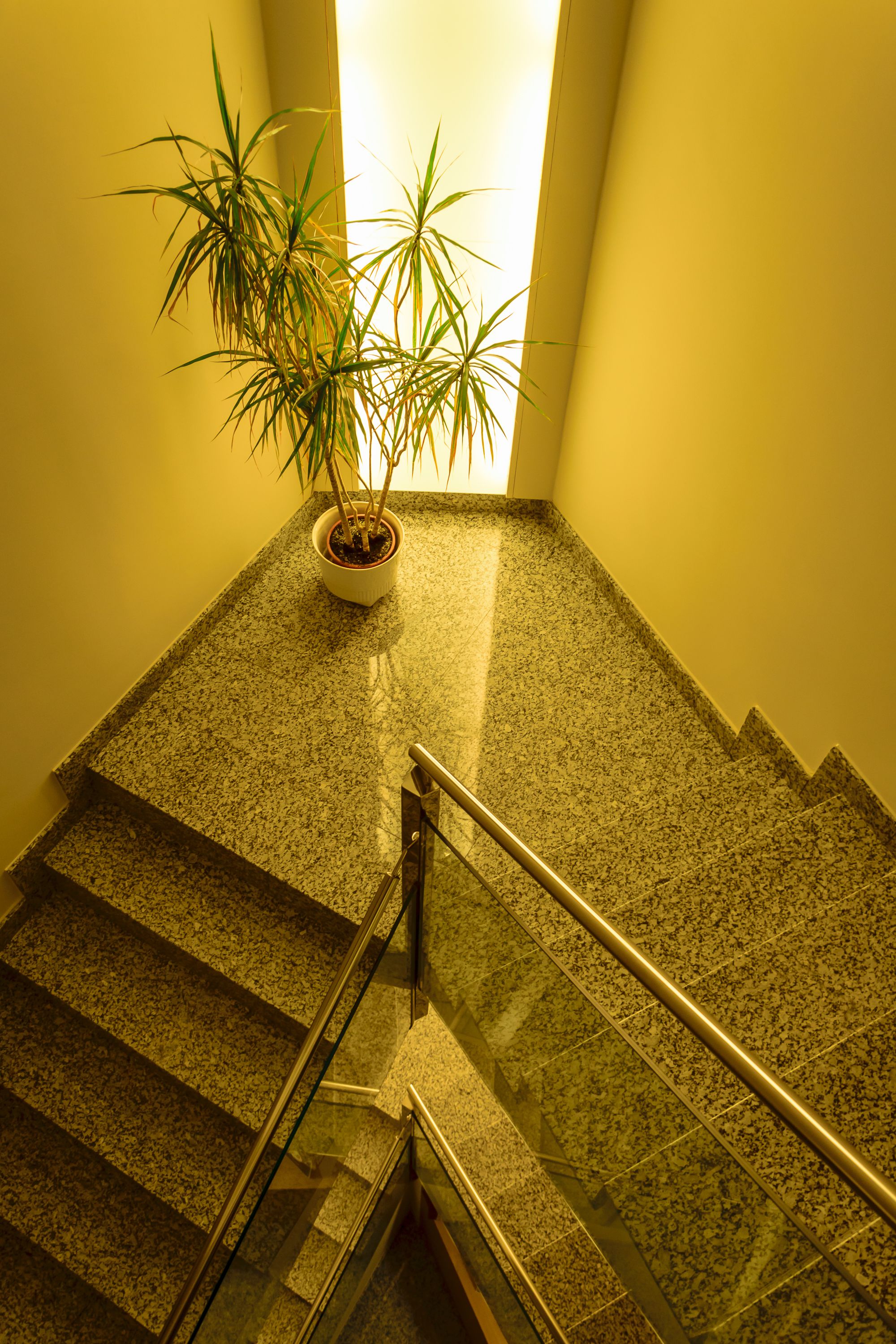 Una escalera con una planta en el rellano.