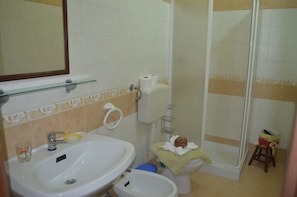 Shower, hair dryer, towels