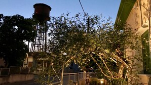 A garden area with a pathway, a water tower, and a building with a green awning. - Avgi's Home (Limassol)