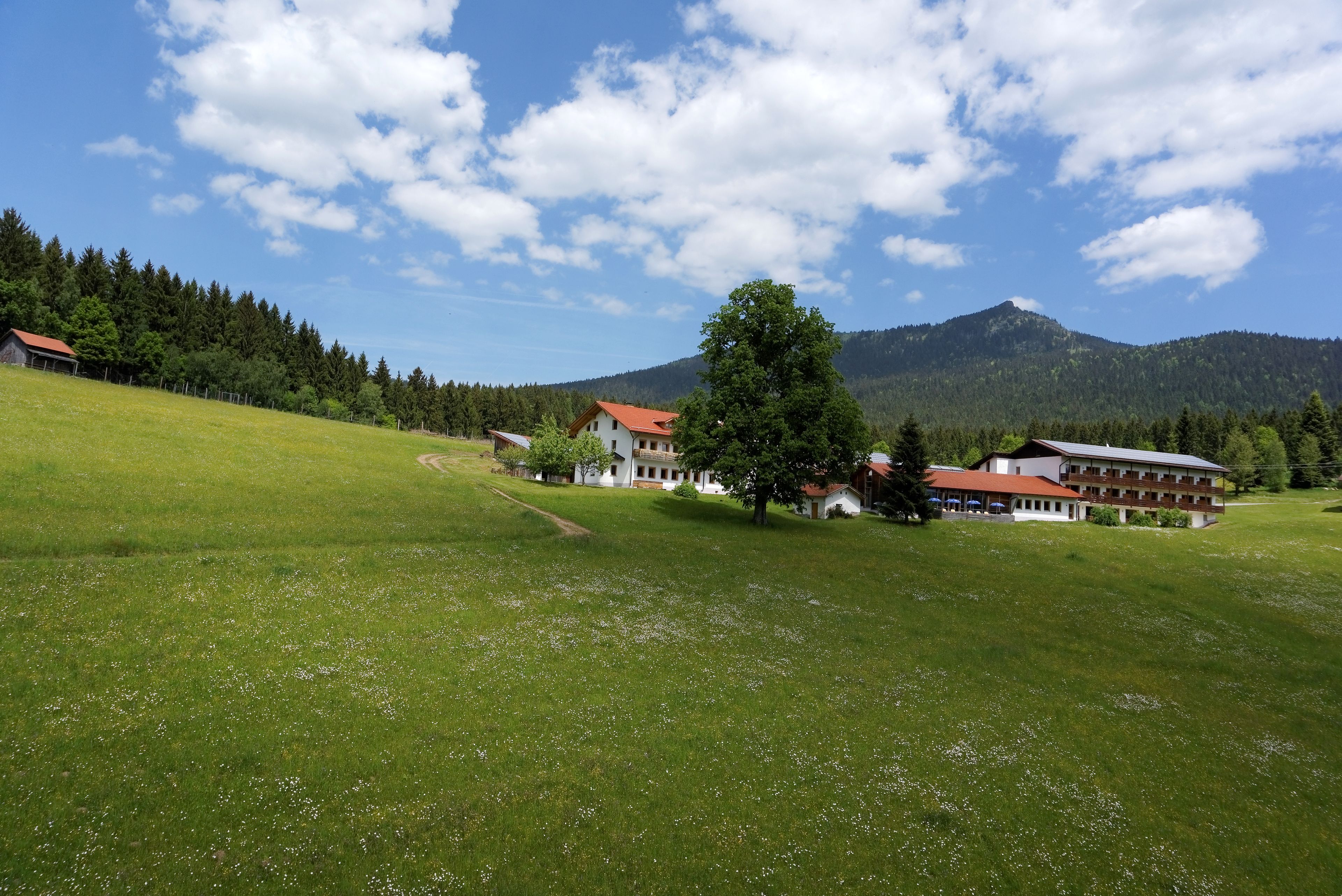 A rural setting with a large building, possibly a hotel, surrounded by green fields and a mountain in the background.