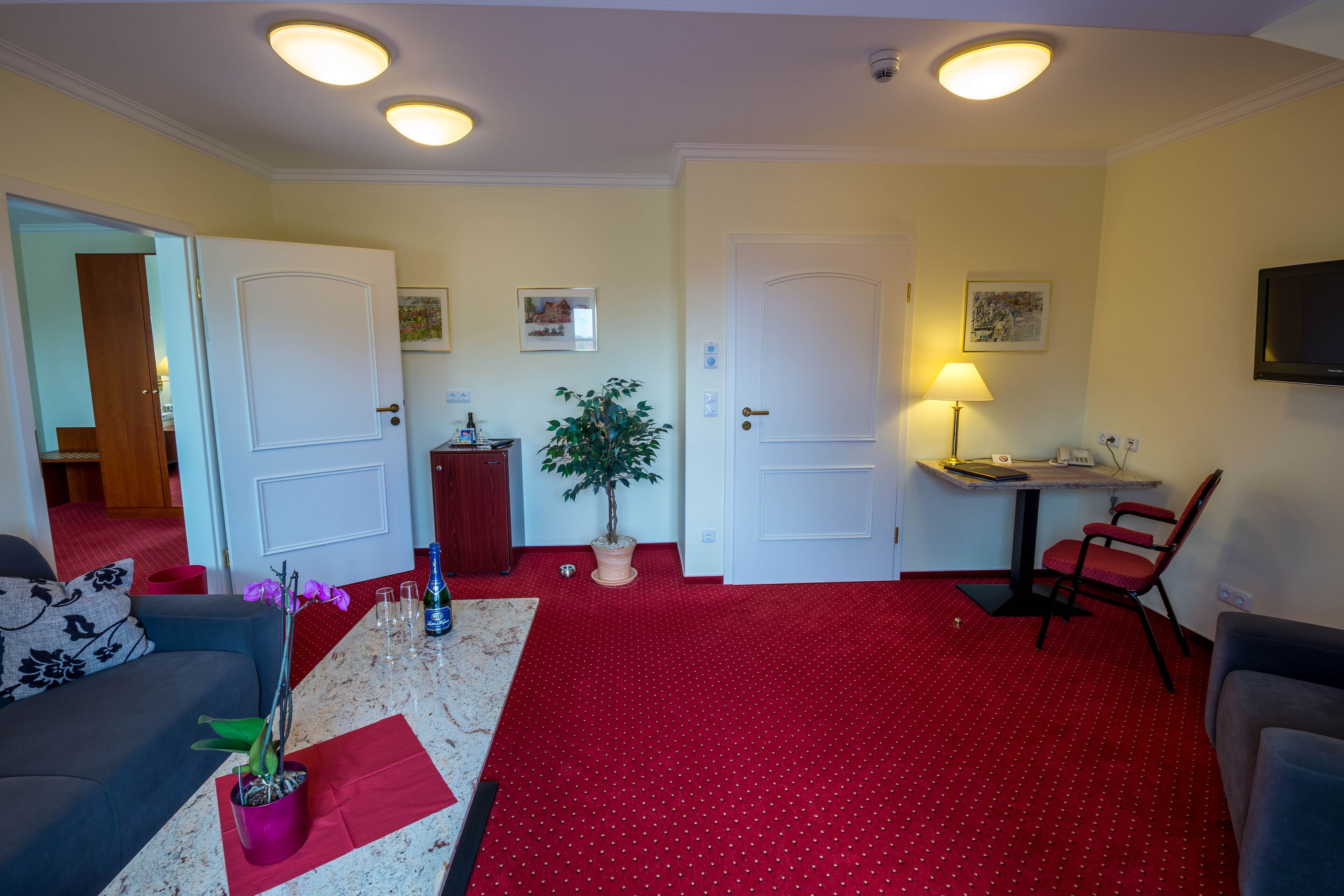 66-cm flat-screen tv with satellite channels, tv