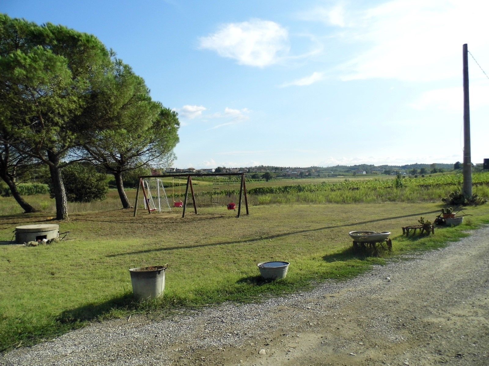 A rural setting with a dirt path, a swing set, and a large tree.