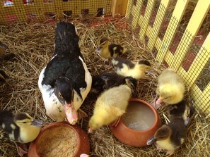 Activités pour enfants