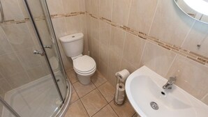 A bathroom with a glass shower enclosure, a toilet, and a sink with a mirror above it. - Cedars Apartment (Dunoon)