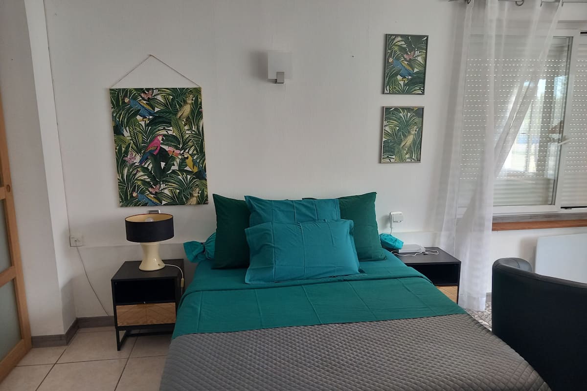 Deluxe Apartment | Private kitchen | Fridge, microwave