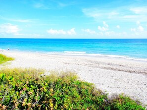A beach with clear blue water and a sandy shore. - POSHPADZ Hot Tub, Tropical Pool, Pool Floats, 3 Bedrooms, BBQ, Minutes to Beach (Palm Beach Gardens)