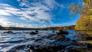 A river with rocks and trees in the background. - Haus am See B&B (Bornheim)