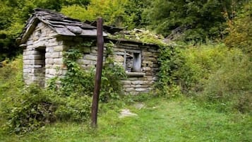 Cottage | Property grounds