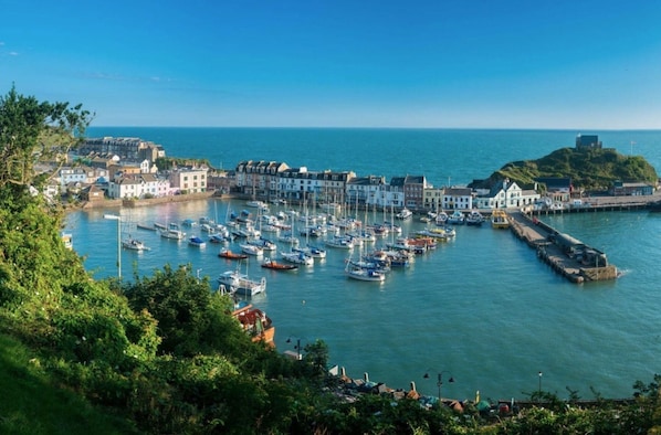 Stunning coastal town with a marina, traditional and modern architecture, and a scenic hillside fort.
