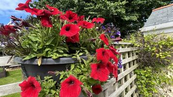 Casa de campo | Interior