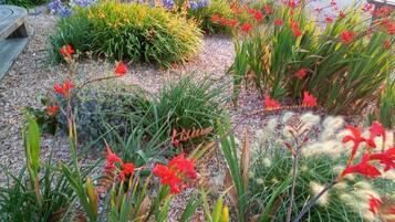 Cottage | Property grounds
