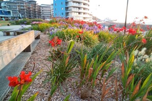 A rooftop garden with various plants and flowers, a wooden bench, and a view of a blue building in the background.