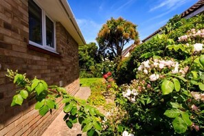 Stroll through the serene garden, surrounded by lush plants and a majestic palm tree.