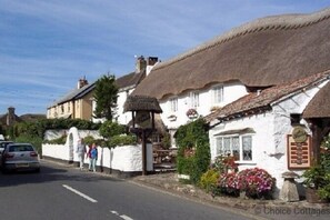 Cottage | Interior - Croyde Windswept 1 Bedroom (Braunton)