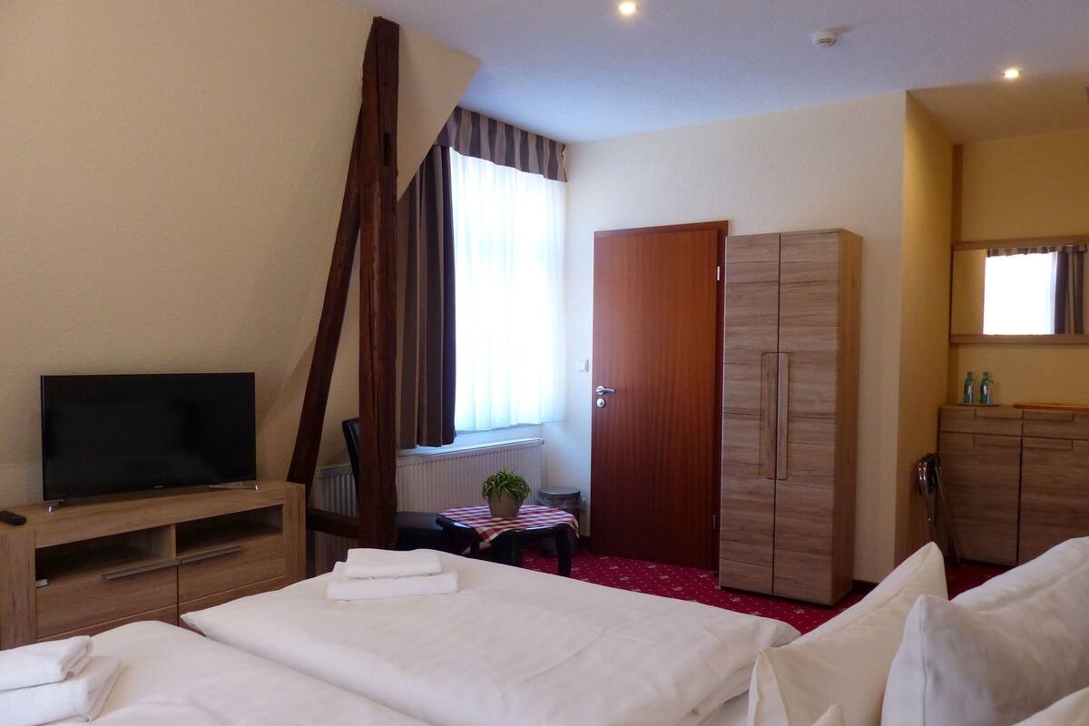 A hotel room with two beds, a TV, a wardrobe, and a small table with a plant.