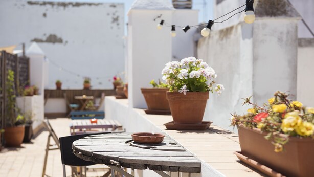 An outdoor terrace with a table, chairs, potted plants, and string lights. - La Casa Morada - Hostel (Cádiz)