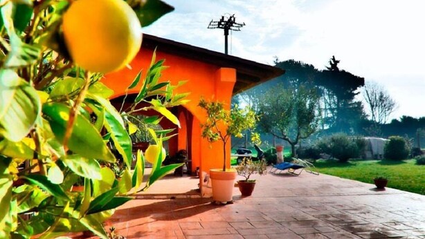 Un edificio con fachada roja, patio con baldosas y plantas en macetas.