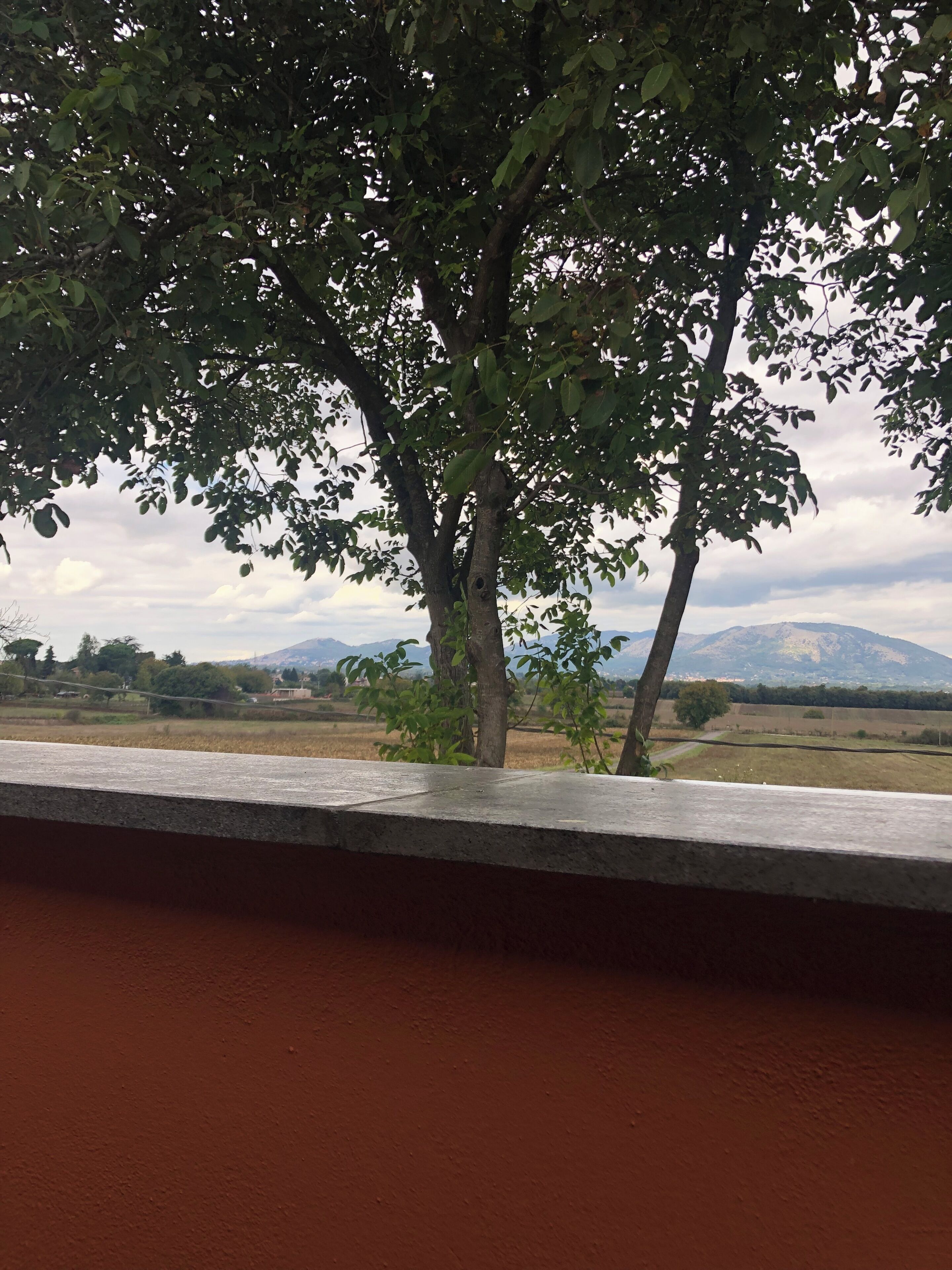 Vista de uma paisagem com árvores e montanhas ao longe.