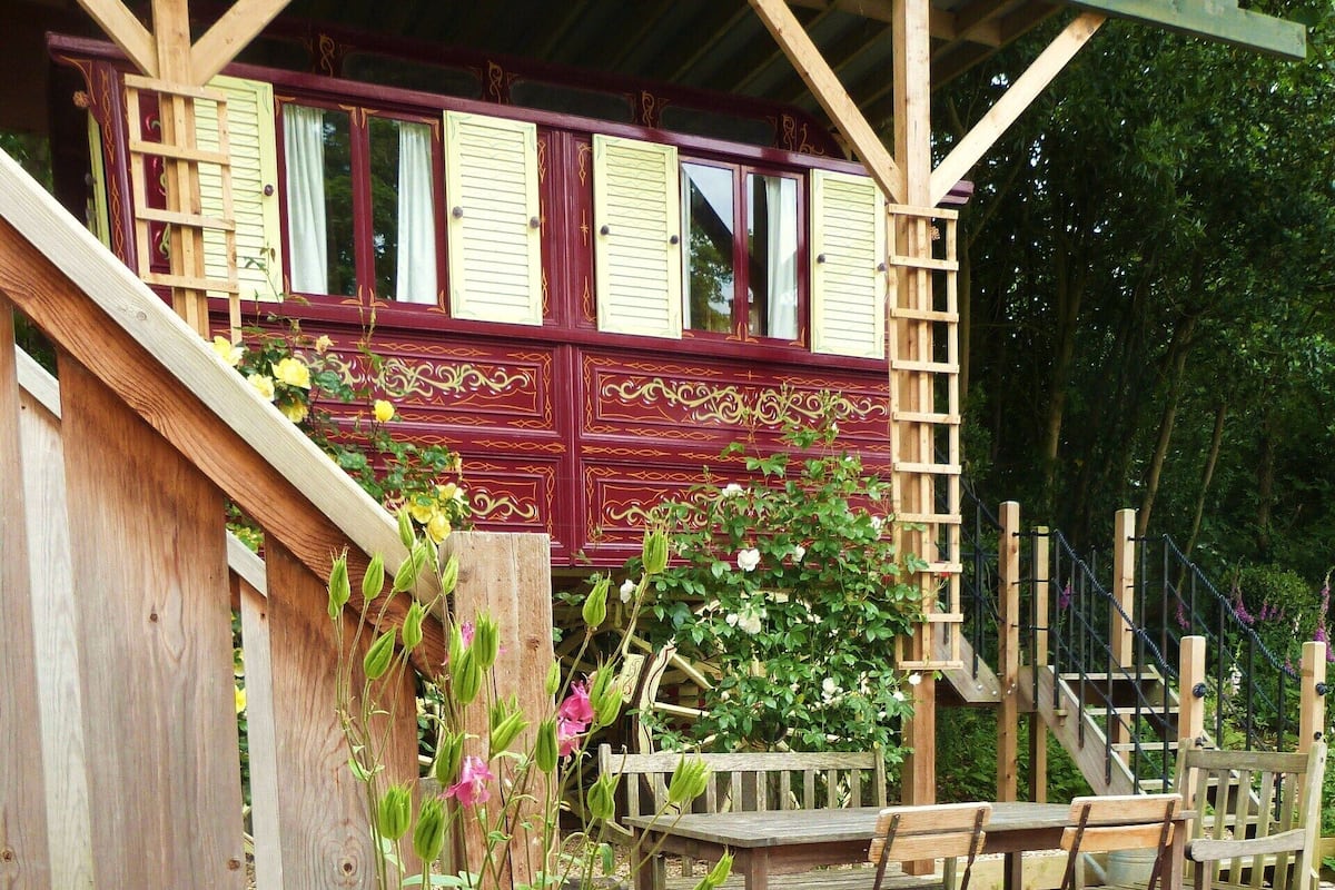 A wooden deck with a wooden bench and chairs, surrounded by greenery and a wooden fence.