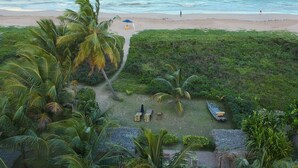 Une plage bordée de palmiers, un sentier et un petit quai.