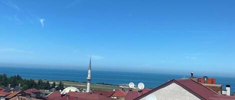 露台/庭院