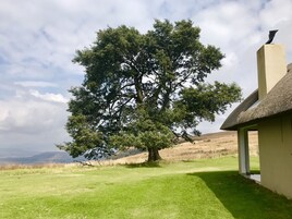 Un árbol frente a un edificio con techo de paja.