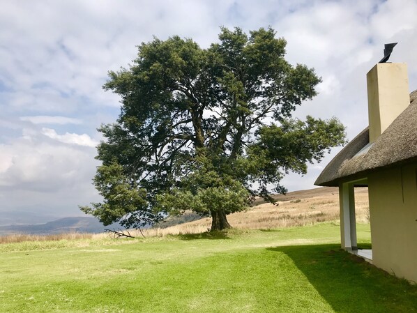 Property grounds - Windmill Farm (Jagersrust)