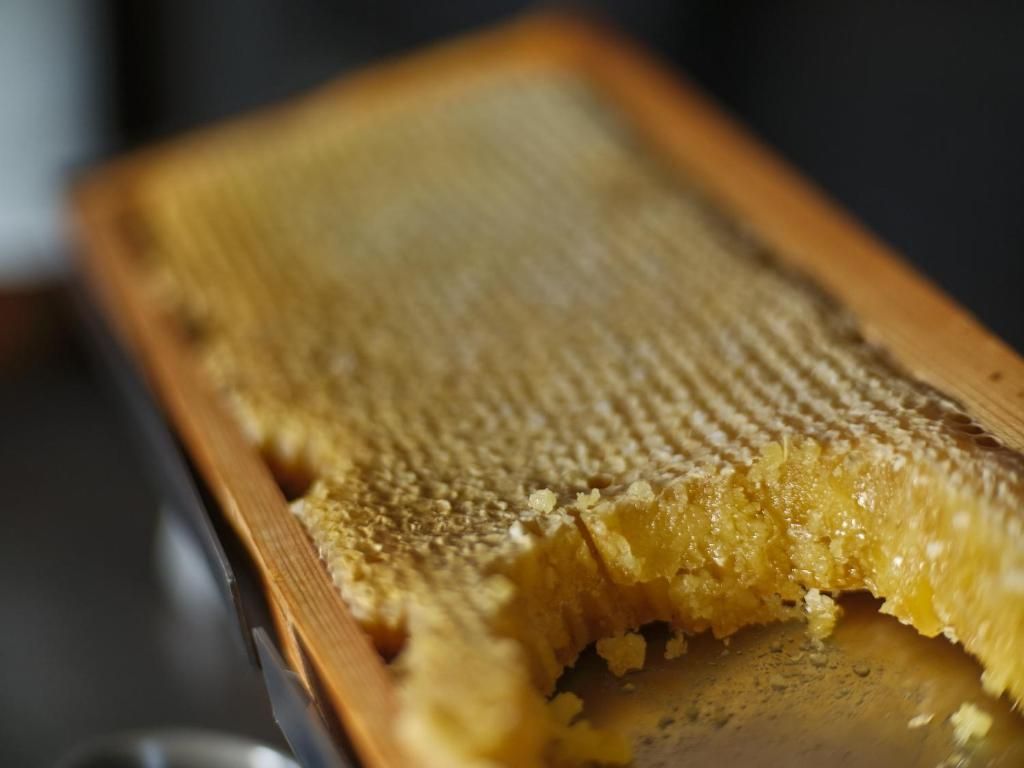 A honeycomb structure with a wooden frame.