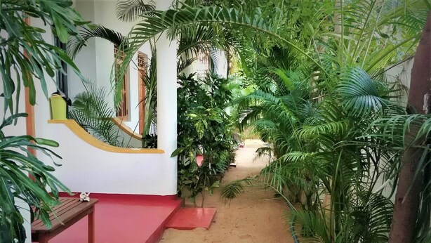 Un sendero estrecho bordeado por plantas verdes exuberantes que conduce a un edificio blanco con piso rojo.