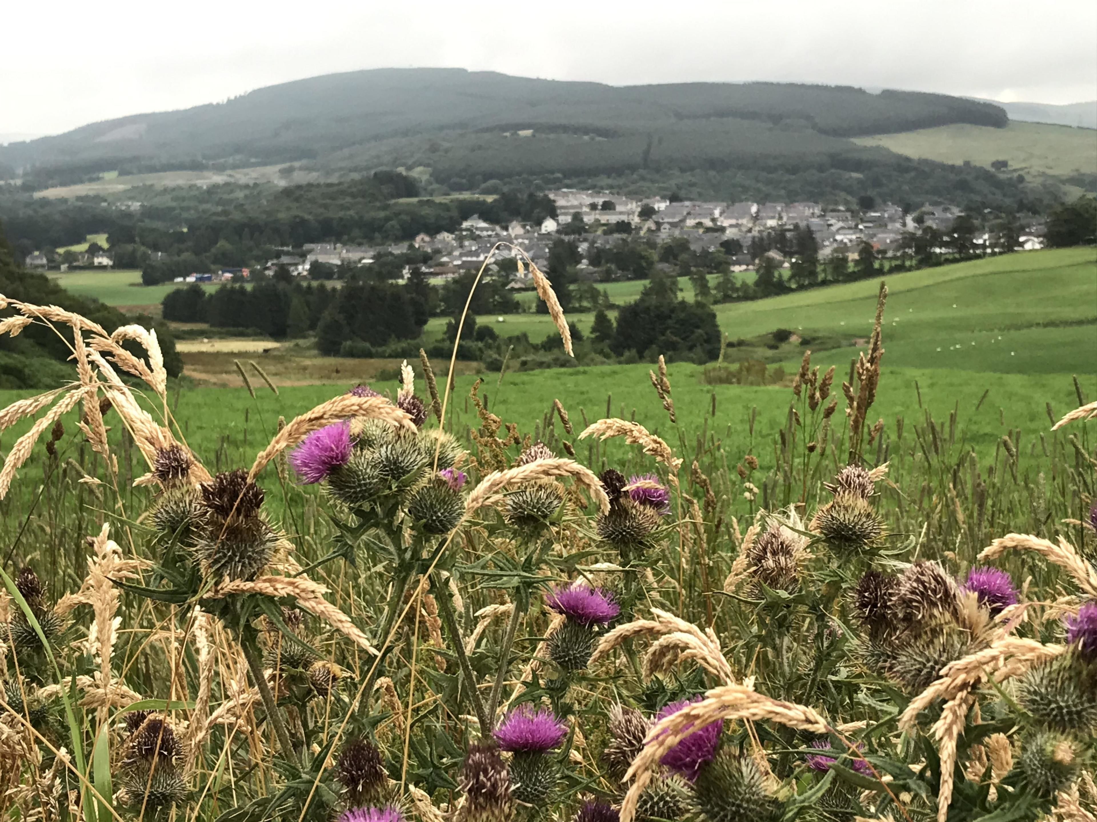 A rural landscape with a town in the background, featuring fields and hills.